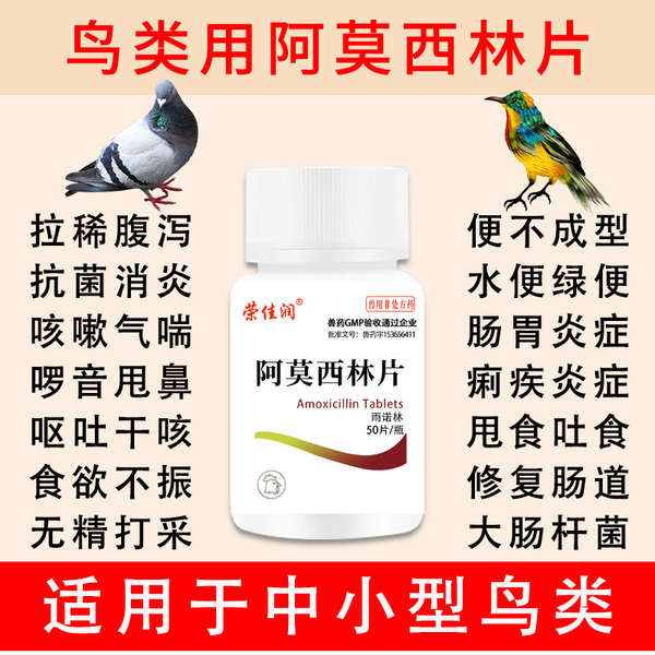 Amoxicillin tablets bird thrush tiger skin xuanfeng parrot bird special medicine bird diarrhea medic