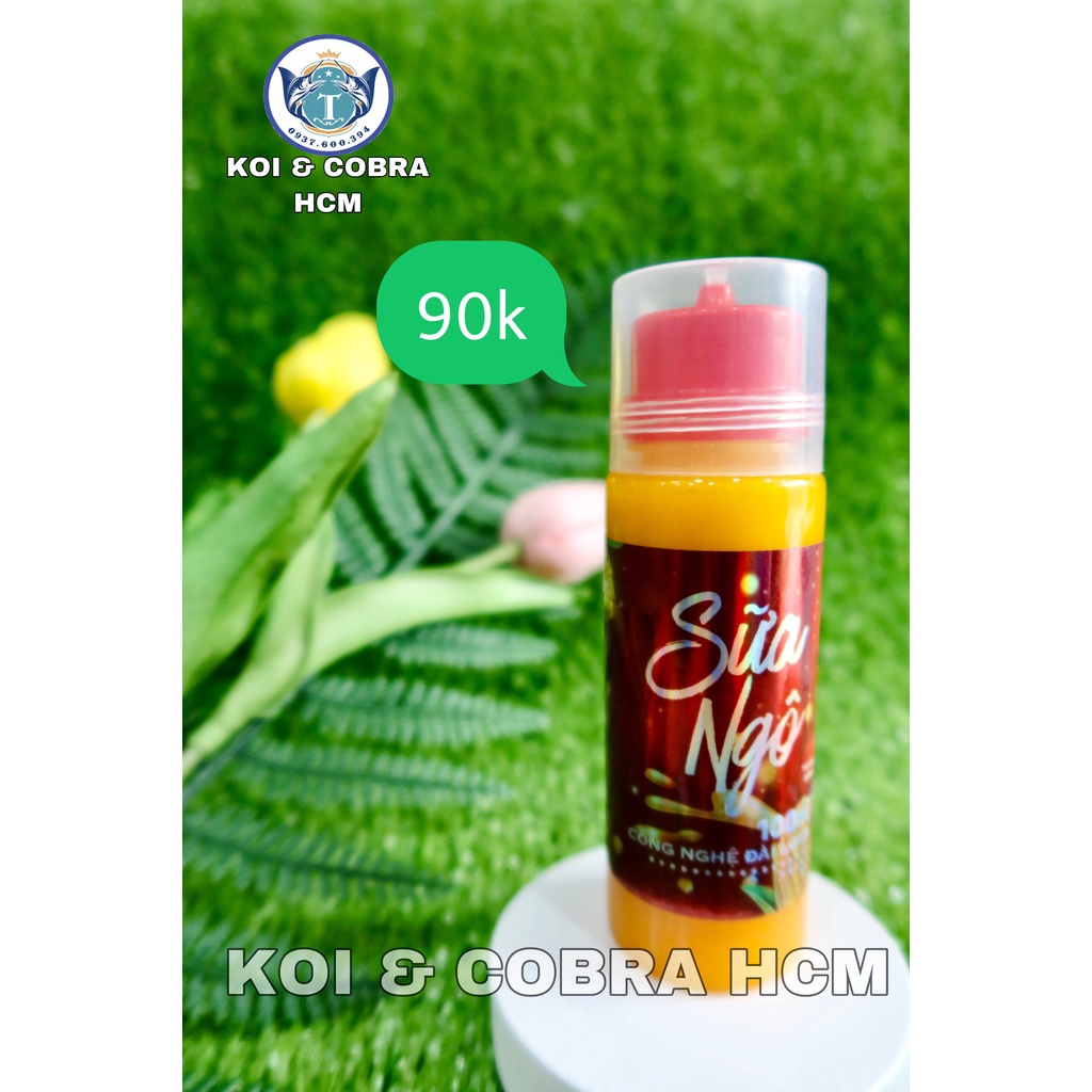 Sữa ngô sapham - tinh mùi câu cá chép, trắm, trôi, mè...