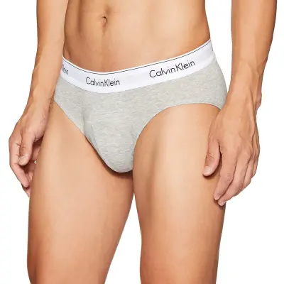 2 pcs Calvin Klein CK Men's Underwear Brief #1890 (Grey)