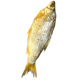 Cá Khô Muối Vobla Astrakhan Của Nga - Hàng Loại 1