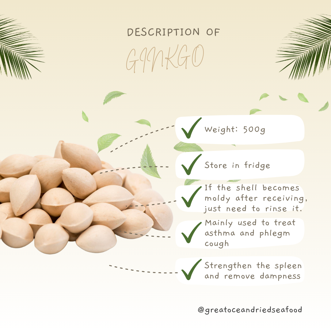 English ginkgo information card showing whole nuts in their shells｜白果英文说明图与带壳白果