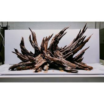 1KG LŨA SĂN ĐÁ - LŨA SĂN ĐÁ - TẠO LAYOUT - SETUP - TRANG TRÍ HỒ CÁ, HỒ THUỶ SINH - GHÉP LAN