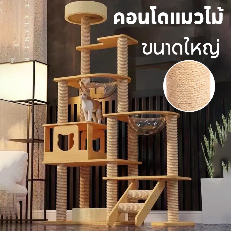 BHQ PET คอนโดแมวหลังใหญ่หลายดีไซน์ ไม้สวยไร้เหลี่ยมคม คอนโดไม้ ที่นอนแมว คอนโดแมวไม้ มินิมอล ราคา 1,019 บาท*ส่งฟรี