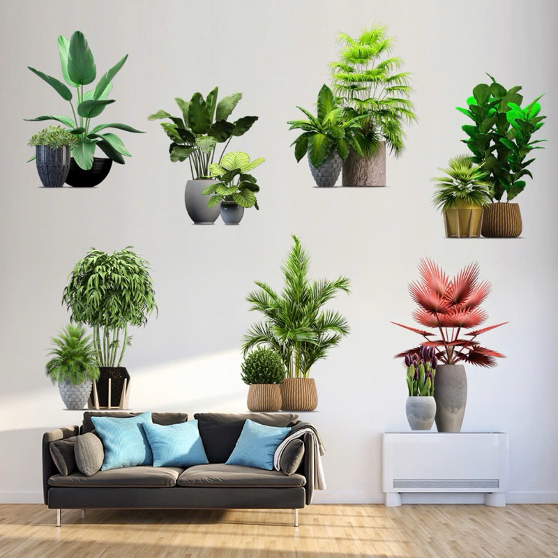  Decal Dán Tường mẫu 7 chậu cây sẵn keo   mỗi chậu 25*25cm  