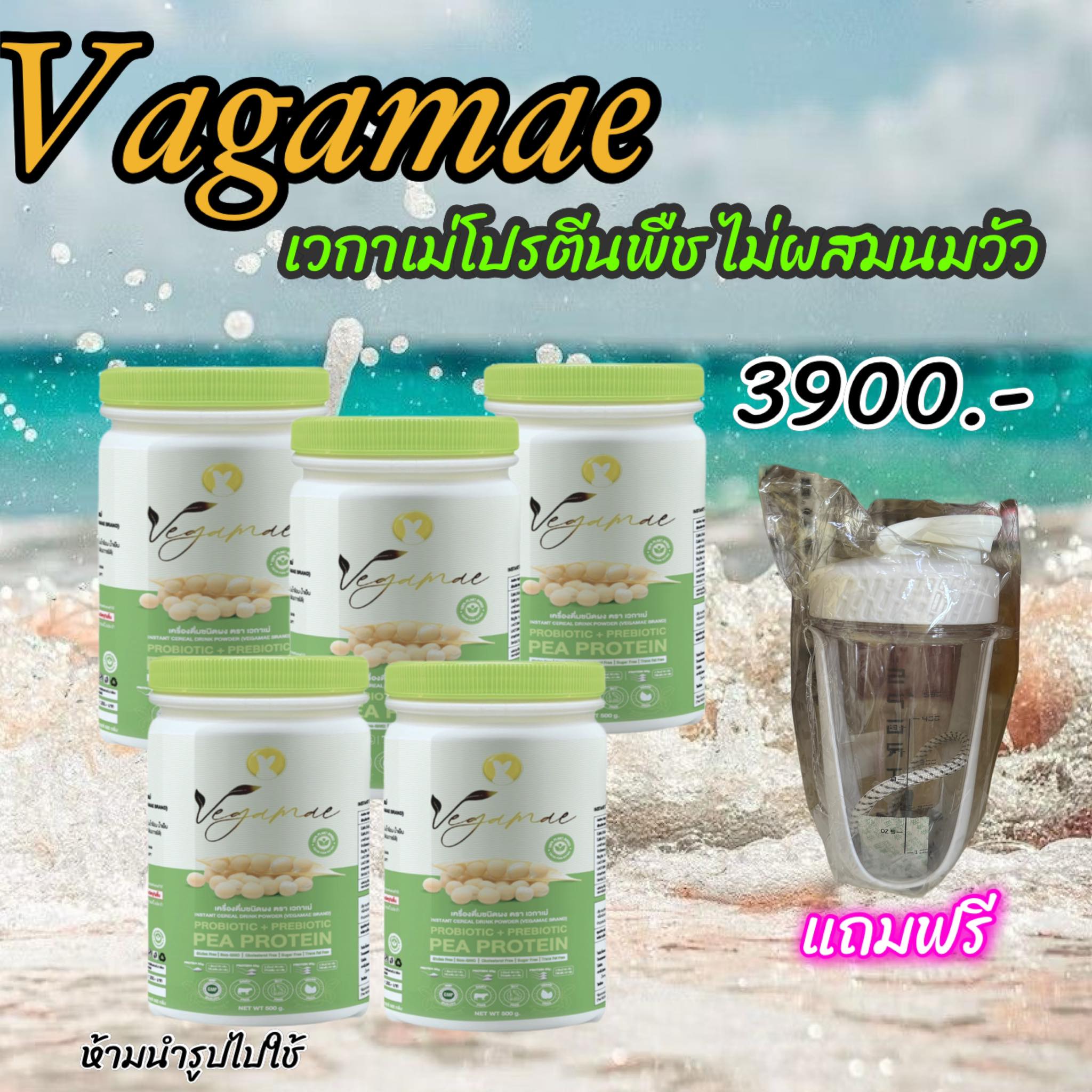Join the Free Delivery Program Vegamae ️Golden Pea Protein, Vegamae Brand (5 Jars) with a Free Shaker Cup. ราคา 3,900 บาท*ส่งฟรี