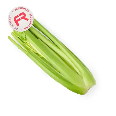 GIVVO Celery