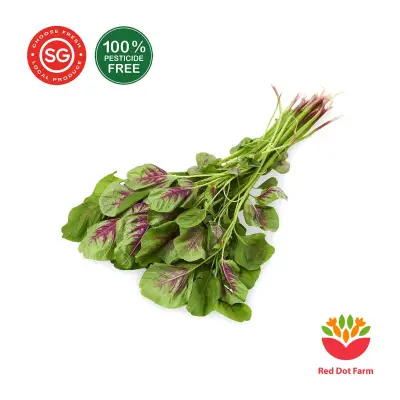 Red Dot Farm Red Bayam Spinach