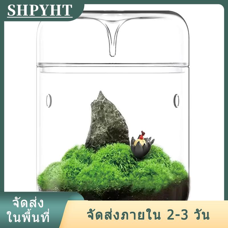 [COD] SHPYHT Ship within 24 hours ขวดแก้วคอลเลกชันน้ำค้างแจกันแก้วภูมิทัศน์มอสฉ่ำน้ำภูมิทัศน์ไมโครของตกแต่งบ้าน ราคา 194 บาท*ส่งฟรี
