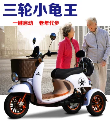 Little turtle electric tricycle adult scooter pick up children electric three-wheeled elderly family car small