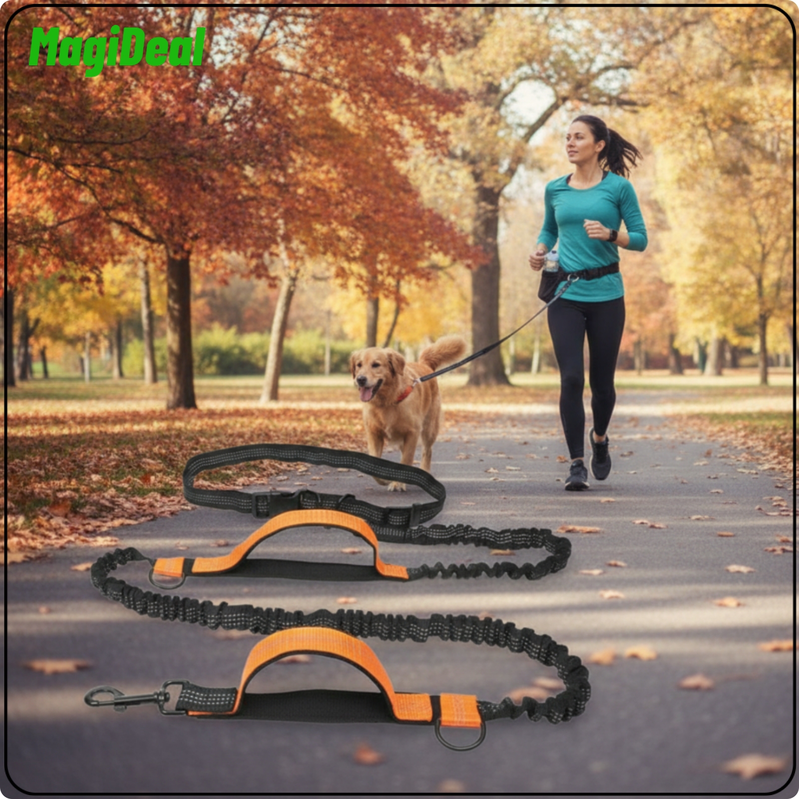 MagiDeal Comfortable Grip Hands Free Running Leash Hands Free Dog Leash Nylon Elastic Pet Gear Black for Runners ราคา 7,911 บาท*ส่งฟรี