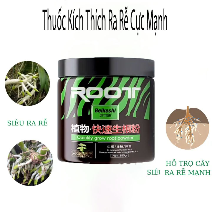 Kích rễ Root King- Chuyên dùng cho gi âm, chiết cành, tưới cây con