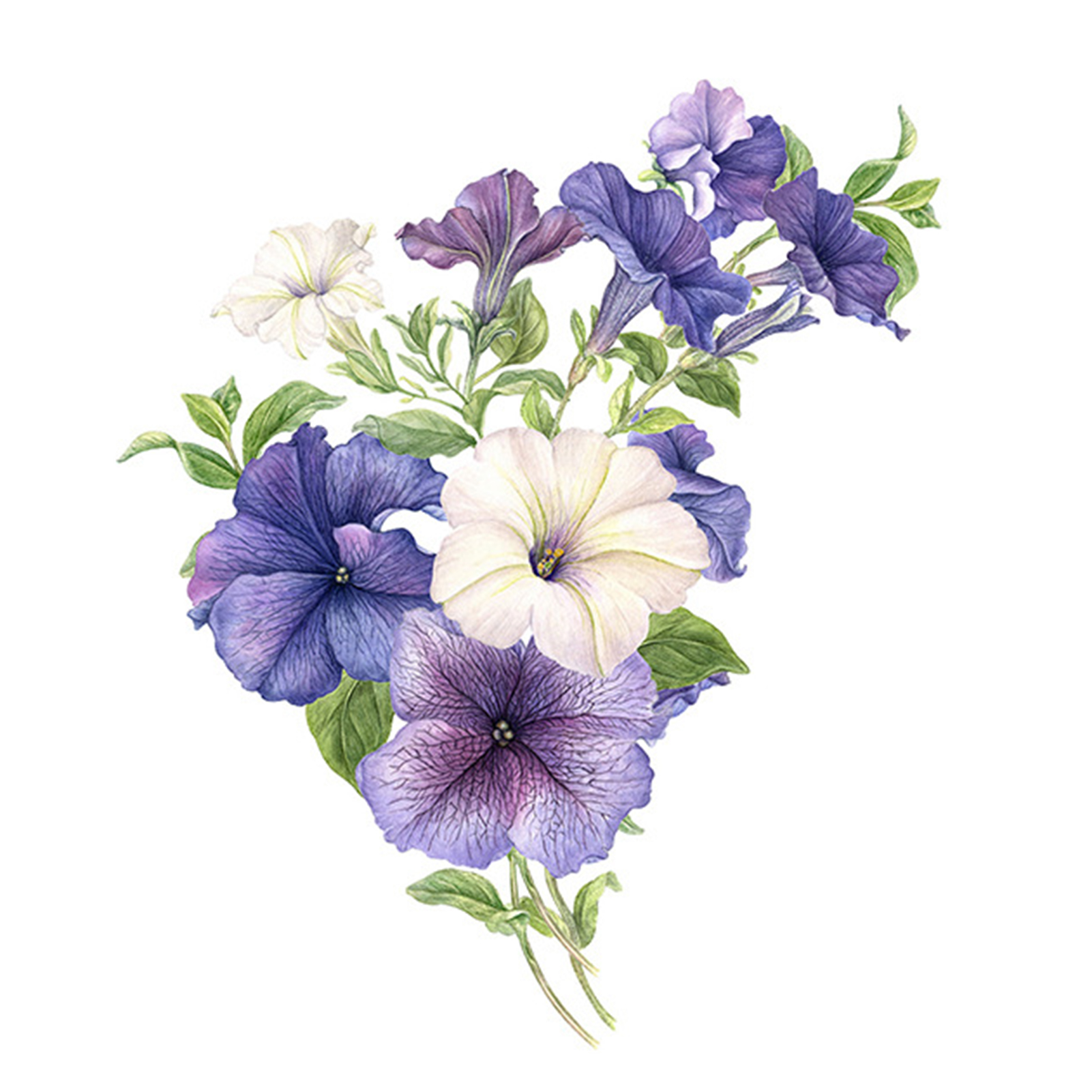 Petunia Flower Toilet Sticker Removable Self-adhesive Waterproof PVC Living Room Bathroom Wall Art Floral Toilet Lid Decoration Decal