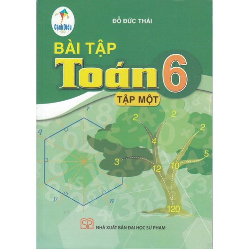Sách - Bài tập Toán 6 tập 1 (Cánh diều)