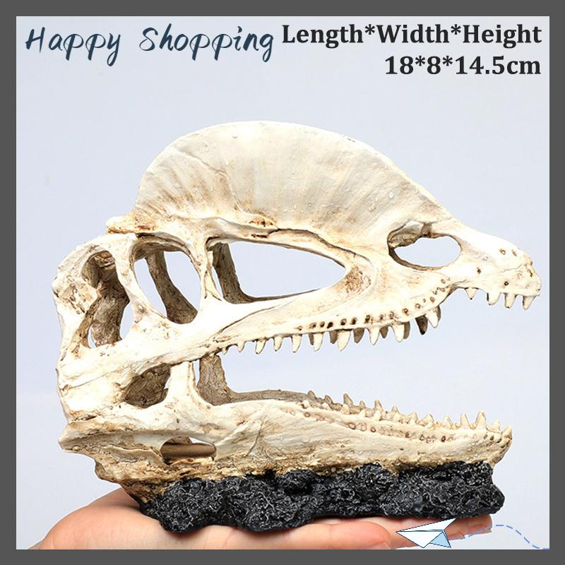 [THS Store] COD Mô phỏng nhựa động vật hộp sọ trang trí tự làm bể cá bể cá phụ kiện trang trí sáng tạo hộp sọ cảnh quan bể cá trang trí - 5