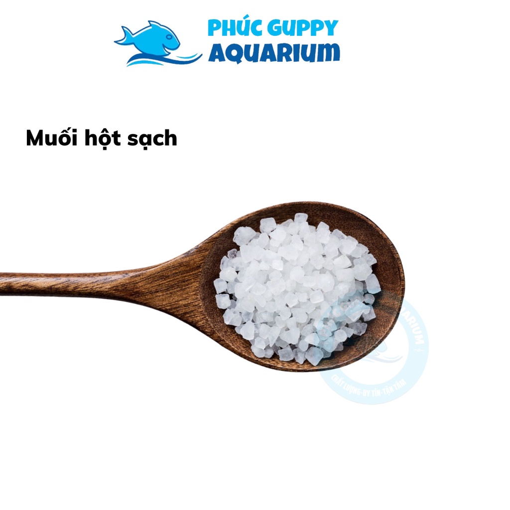 Muối Hột Sạch