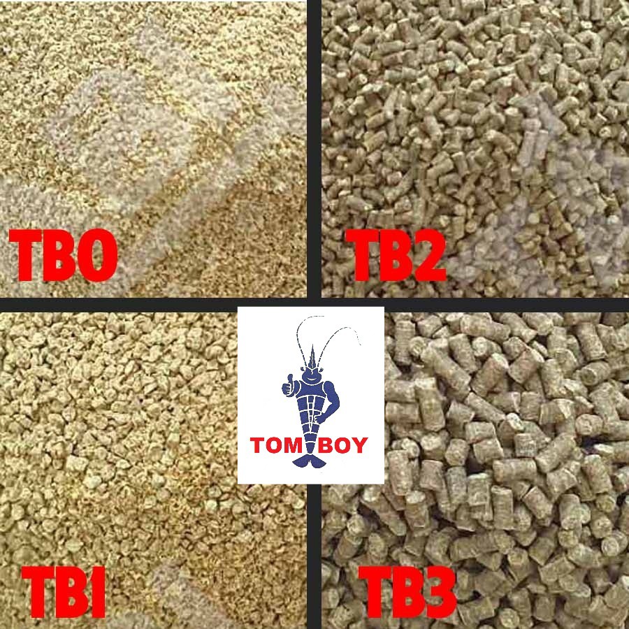 Cám tomboy 0-1-2-3 thức ăn tăng trọng cho cá Guppy  Betta cá vàng ...