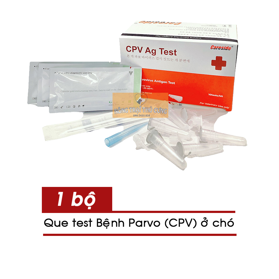 Que Test Xét Nghiệm Bệnh Parvo CPV Ở Chó - Ag Test Kit Careside Hàn Quốc -