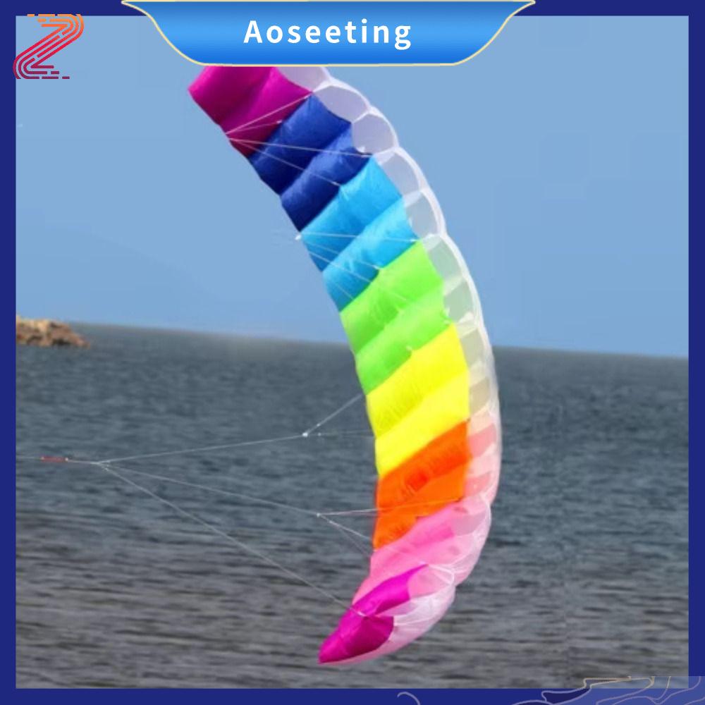 AOSEETING Mềm Diều Dù cầu vồng Đường dây kép Công suất kép Diều Dù Chuyên nghiệp Dây 30 mét Diều bãi biển thể thao Thể thao ngoài trời