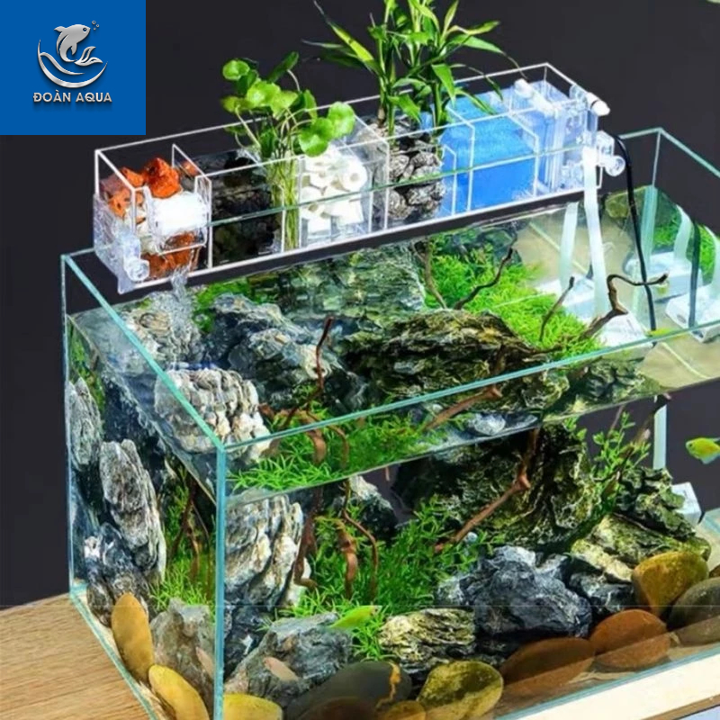 Lọc tràn bể cá . Lọc bể cá tích hợp máy bơm . Tặng kèm bông lọc