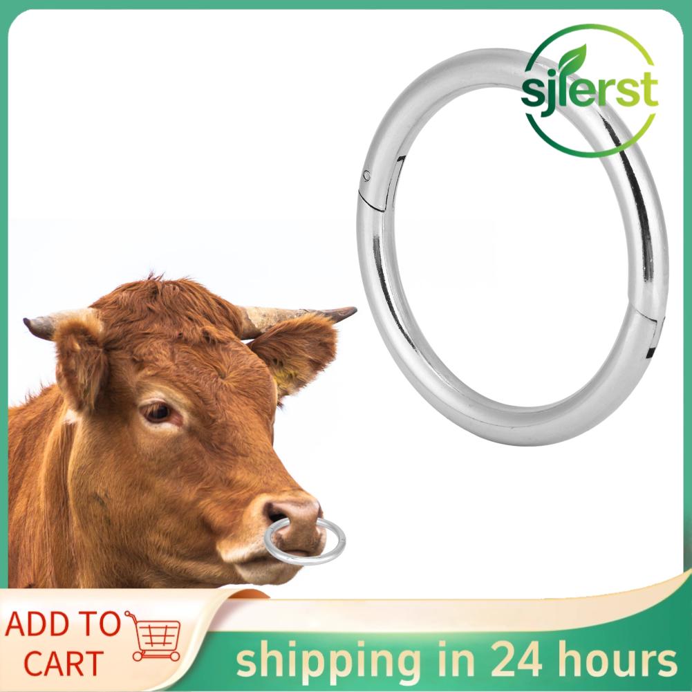 sjlerst Vòng kẹp mũi gia súc Vòng kẹp lực kéo gia súc 9x9x1cm / 3 5x3 5x0 4in Vòng mũi bò cho trang trại gia súc dành cho nông dân và bác sĩ thú y