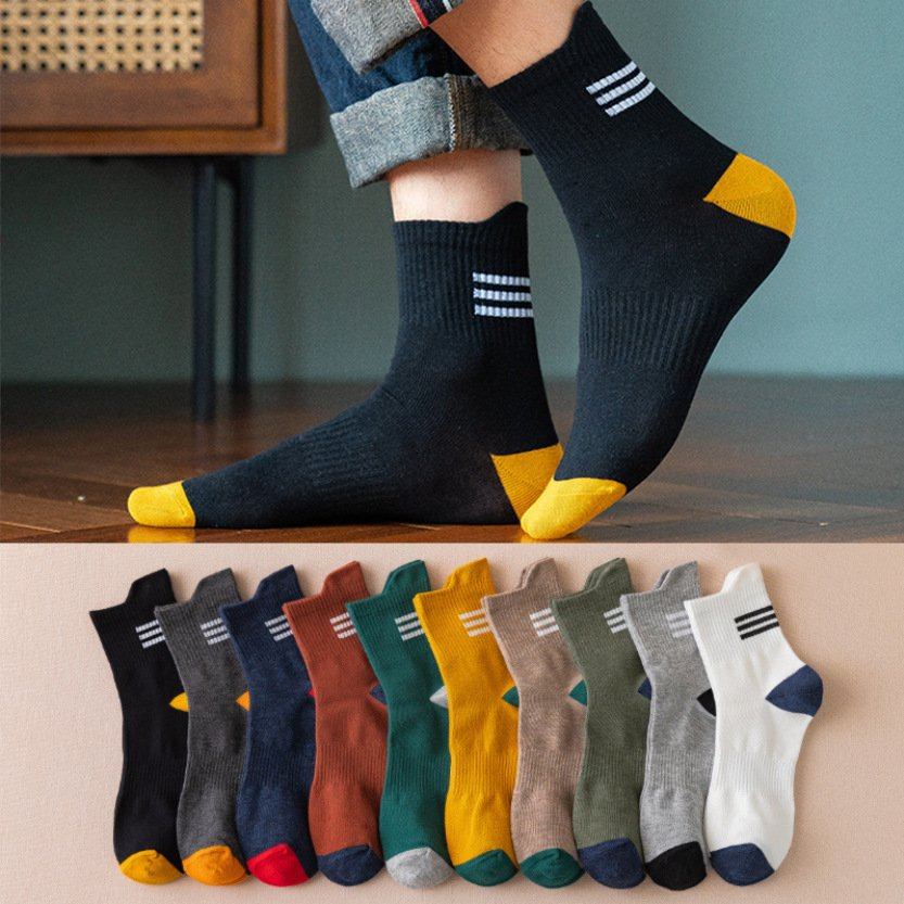 Set 10 đôi tất vớ nam, tất nam cao cổ thuyền hàn quốc cotton 10 màu