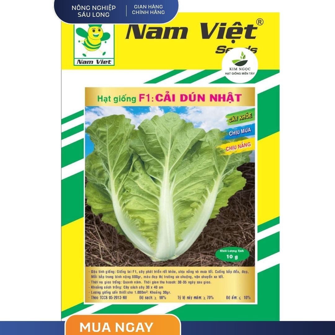 Hạt Giống Cải Dún Nhật NAM VIỆT (GÓI 10G) - Cây sinh trưởng mạnh, chịu nhiệt, bắp to, màu đẹp