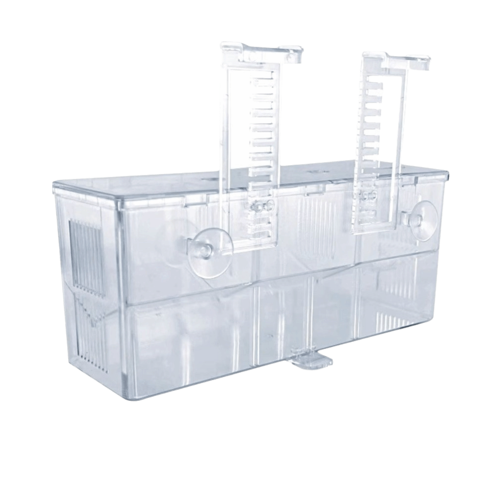 ANGELIO Acrylic Hộp nuôi cá Hai lớp Rất minh bạch Máy ấp trứng Hộp sinh sản Hệ thống treo Hộp nuôi cá chép vân công Nhà trẻ - 2