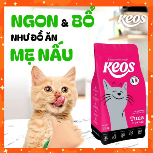 [Keos 1.5kg] Combo Hạt Dinh Dưỡng Cho Mèo Từ Mọi Độ Tuổi - Hỗ Trợ Tiết Niệu, Tiêu Lông, Tiêu Hóa
