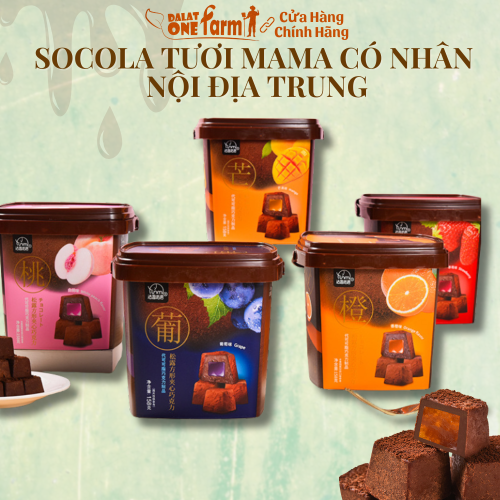 Socola Nama Tươi Nhân Trái Cây Yumi Siêu Ngon, Chocolate Nhân 5 Vị Hoa Quả