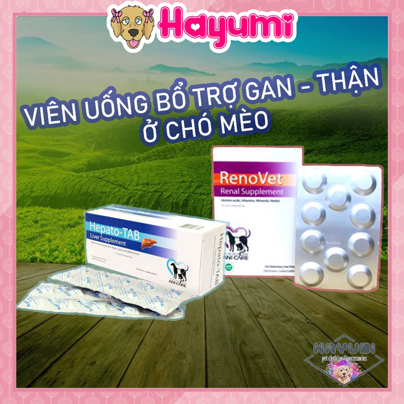 [1 VIÊN] BỔ TRỢ GAN, THẬN Ở CHÓ MÈO HEPATO TAB & RENOVET - HAYUMI