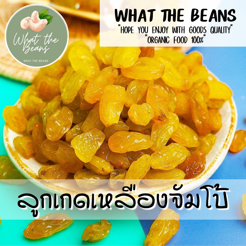 Jumbo Golden Yellow Raisins 500g, Imported, Newest Batch. the Golden Yellow Color Is Very Beautiful. It Has a Sour and Sweet Taste, Delicious and Useful. What the Beans ราคา 169 บาท*ส่งฟรี