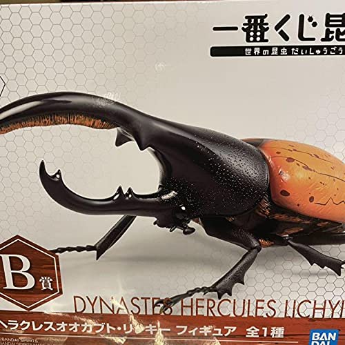 Shop Hercules Beetle online | Lazada.com.ph