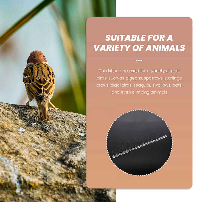 10 Pcs/Box Bird Spikes, Stainless Steel Bird Deterrent Spikes Cover for Fence Railing Walls Roof Yard Presyo  901 Piso*Libreng Shipping