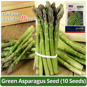 100% Original Sweet Green Asparagus Seeds High Yield Organic F1 Vegetable Seeds for Planting Garden Seeds Vegetables Seeds for Gardening Balcony Potted Asparagus Live Plant Bonsai Vegetable Plant Veggie Seeds Easy To Grow Plants Buto Ng Halaman