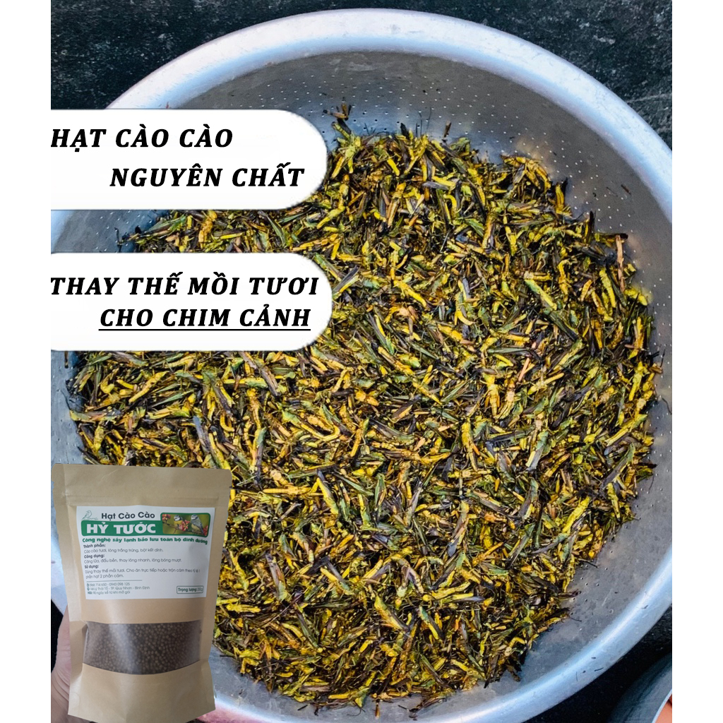Cám hạt cào cào_Thức ăn cao cấp cho chim sâu,hoạ mi,hút mật
