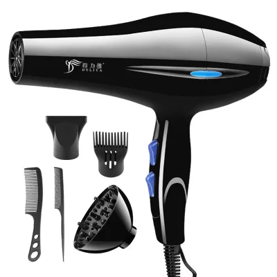 Professional Salon Hair Dryer 2200W Hair Blower Hot and Cold Wind for Travel Anion with Diffuser Concentrator SG Plug