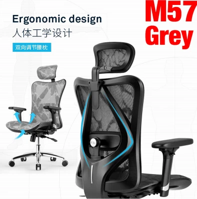 (3 Years Warranty/Free Installation) Instock Fast Delivery Premium Full Mesh Ergonomic Executive Chair with 3D Lumbar Support & Headrest M57 Ergonomic Computer Chair Household Mesh Office Chair Swivel Chair Waist Support Chair