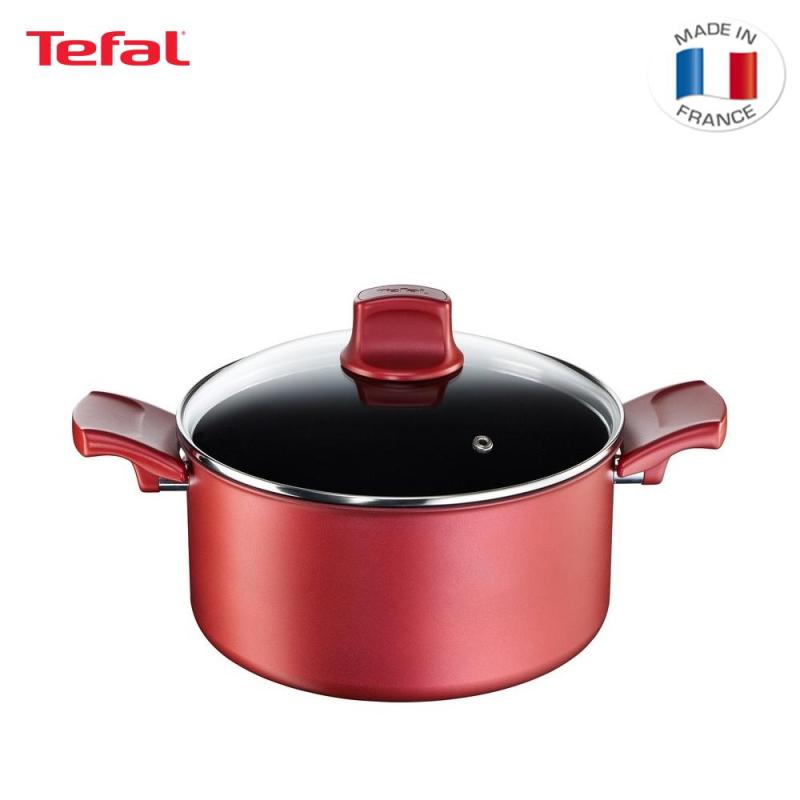 Tefal Character Stew Pot w/Lid 24cm C68246 Singapore