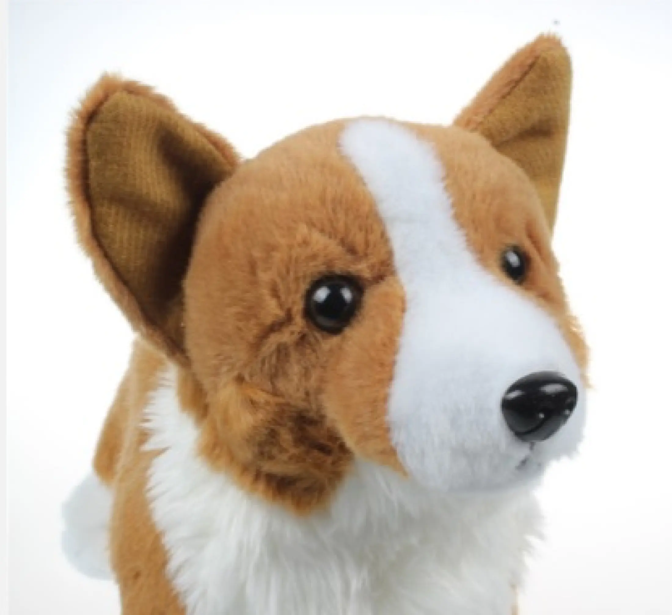 Cute Corgi Dog Plushy Soft Toy Lazada Singapore