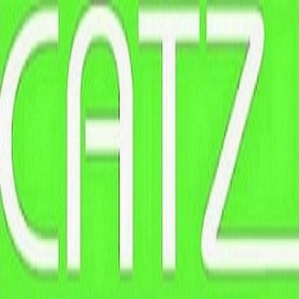 CATZ Singapore Official Online Store | Shop Now on Lazada