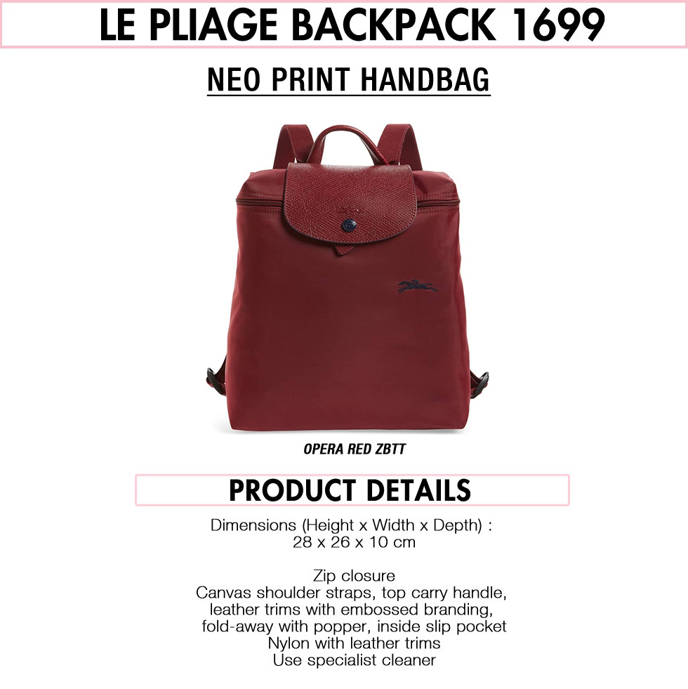 longchamp backpack size cm