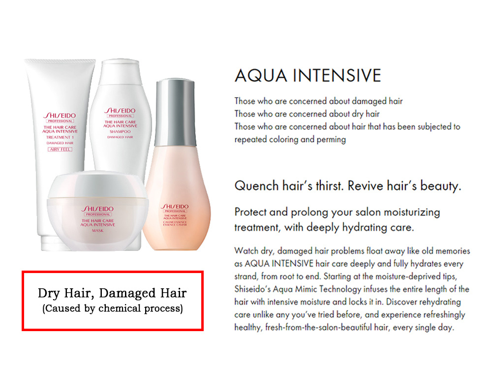 100 Authentic Shiseido Aqua Intensive Shampoo Dry Damaged Hair