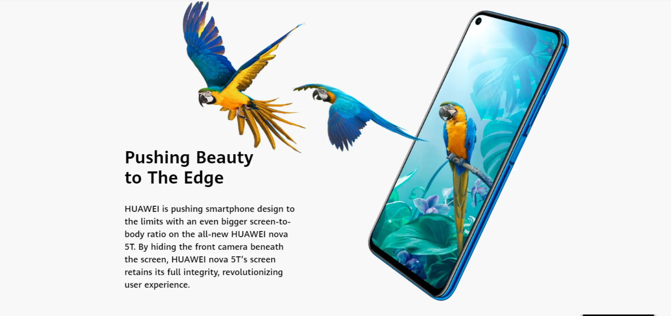 blue parrot warranty phone number