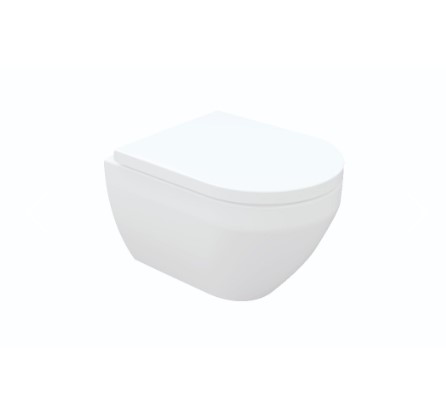Rubine Wall Hung Toilet Bowl Bathroom Faucet New