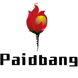 Paidbang store logo