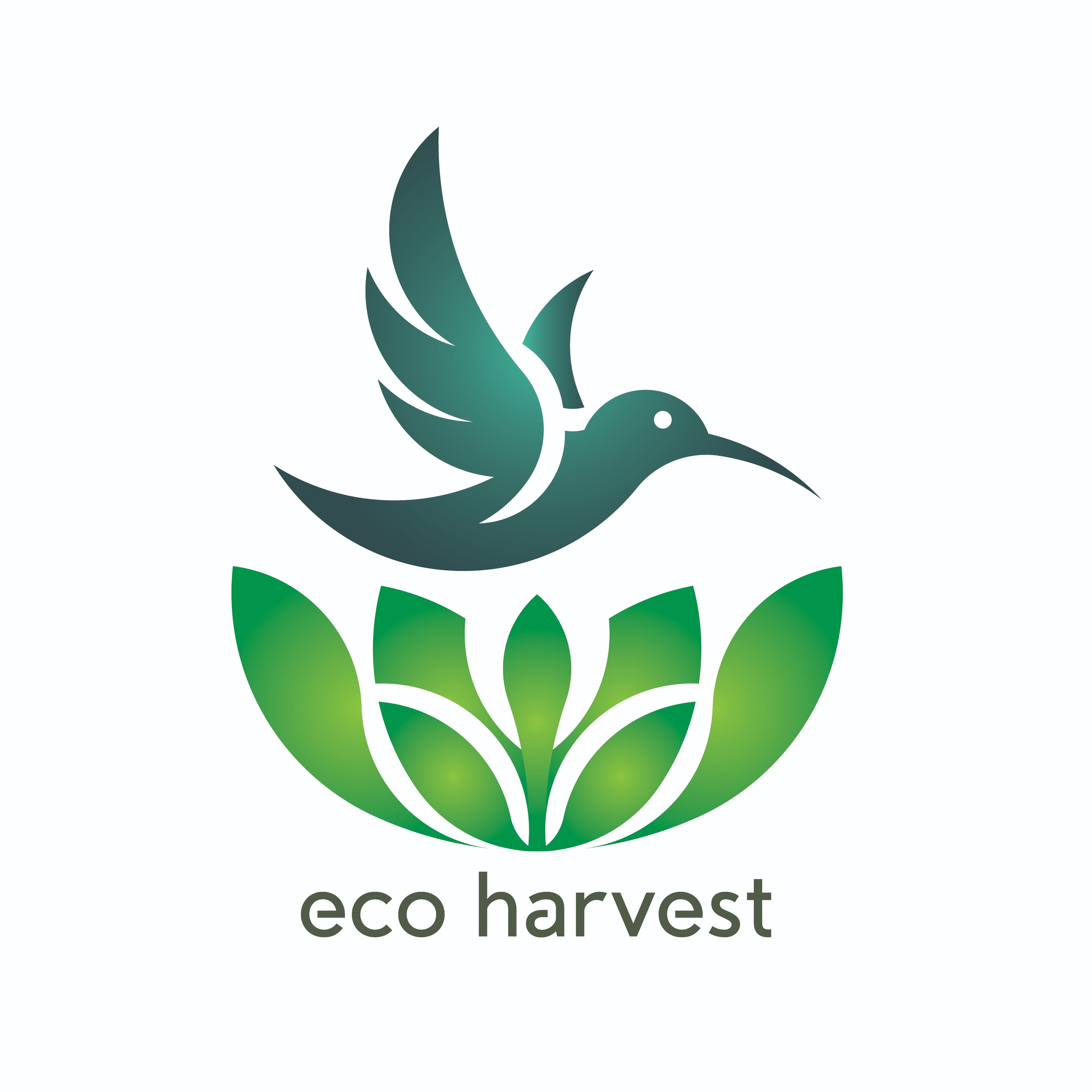 Eco Harvest Singapore Official Online Store | Shop Now on Lazada