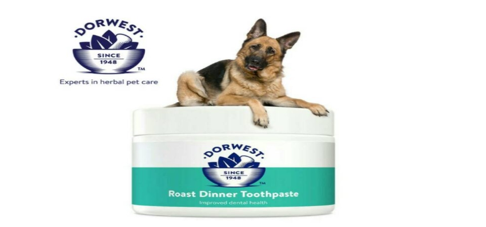 dorwest roast dinner toothpaste