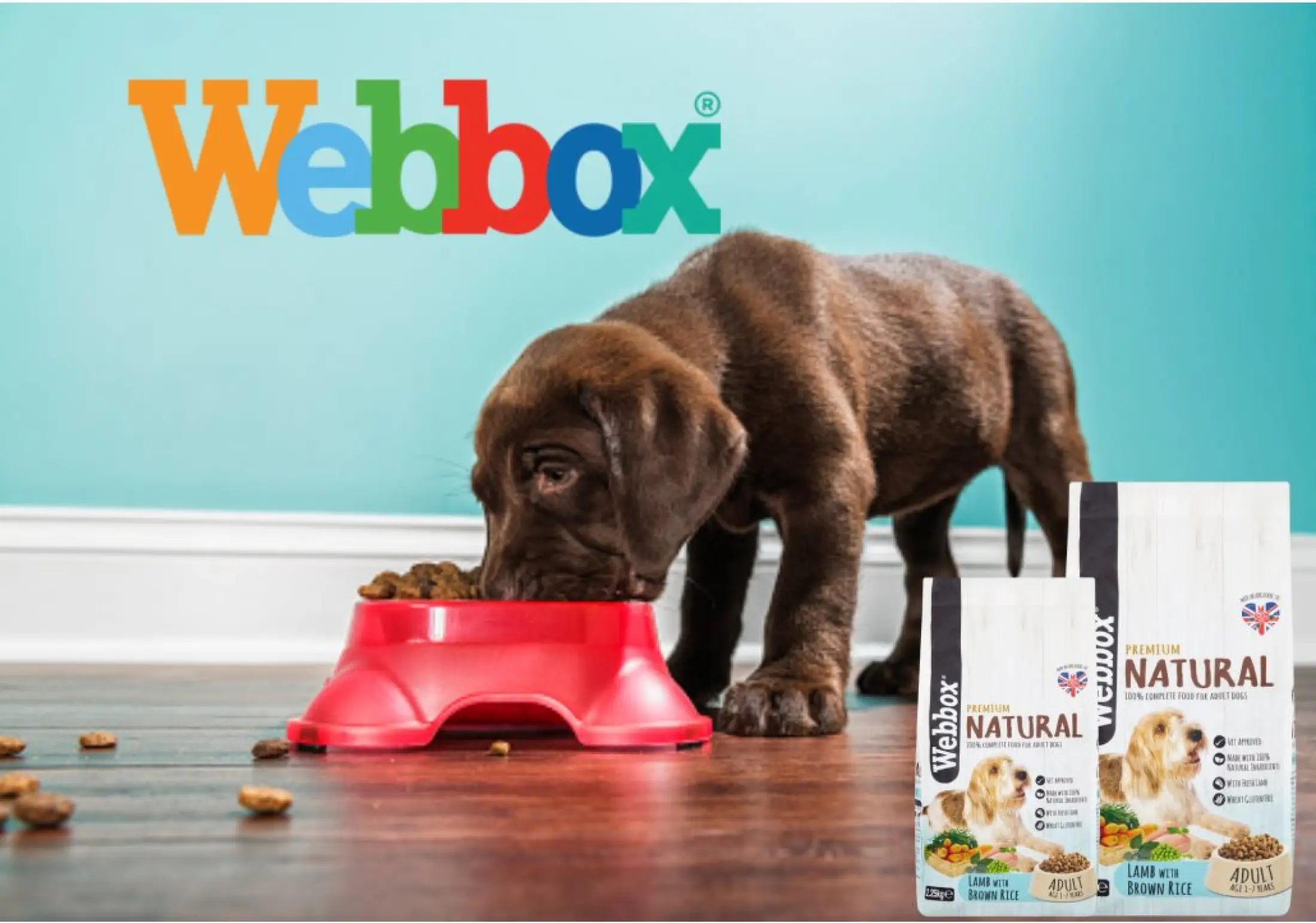 webbox premium natural dog food