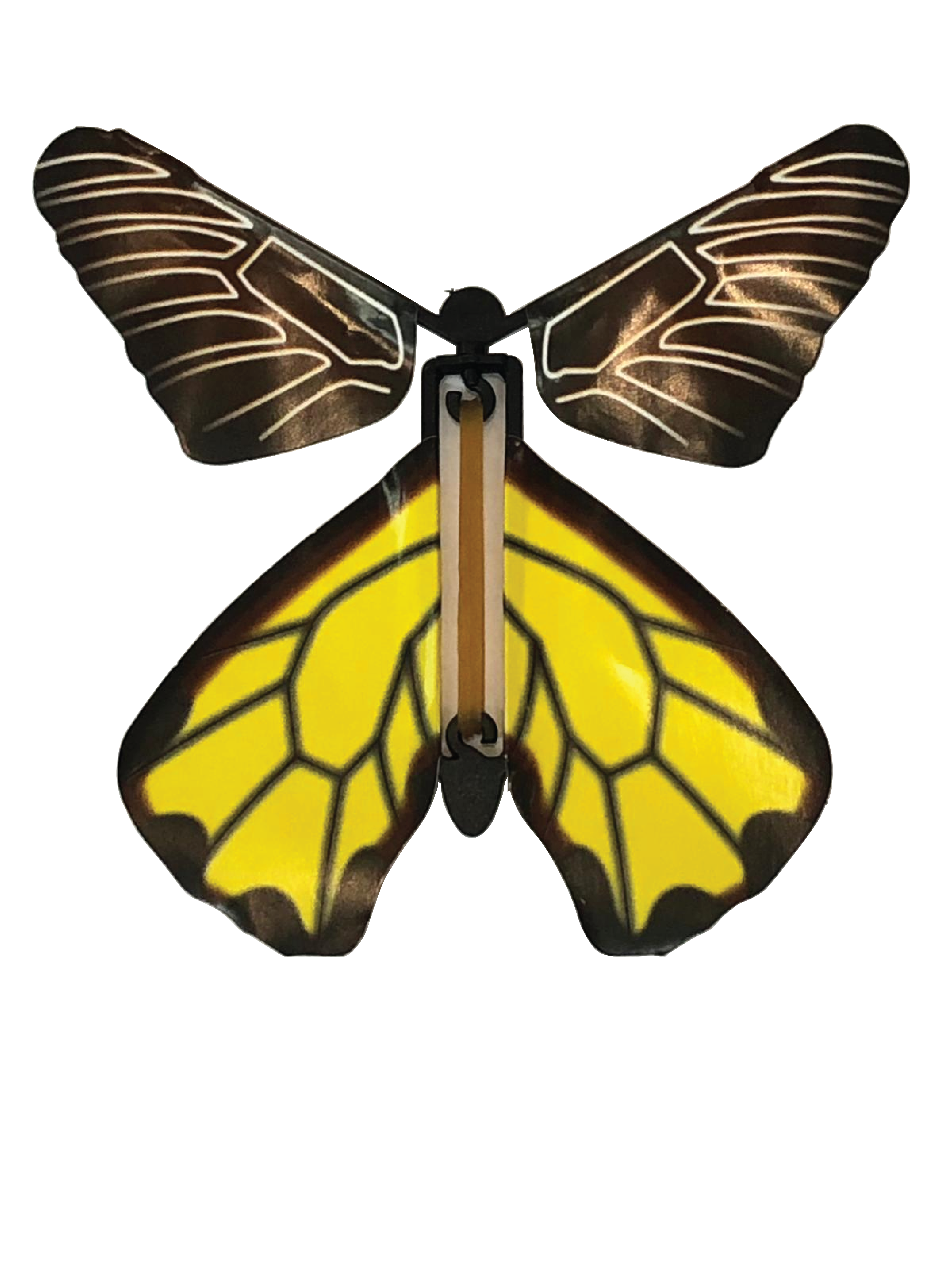 butterfly pack n play