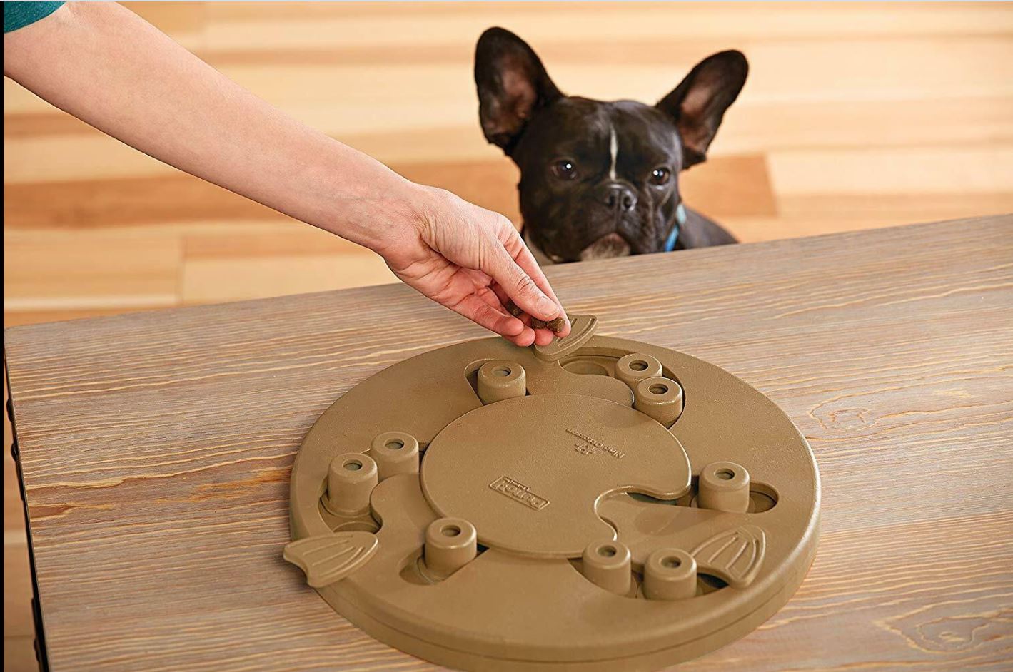 dog worker puzzle